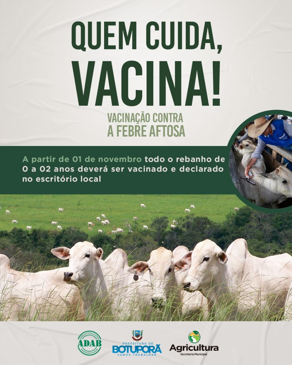 Vacinação Contra Febre Aftosa